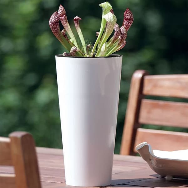 Prosperplast Blomkruka 64l Tubus Slim Collection 40x40x76.2 Cm Za4096 Durchsichtig