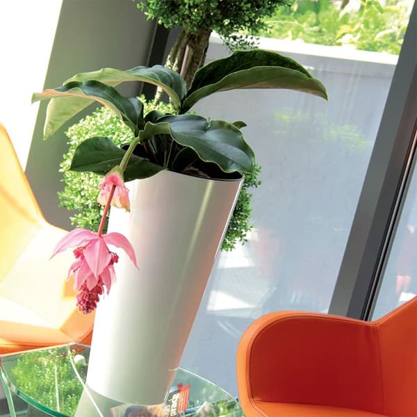 Prosperplast Blomkruka 64l Tubus Slim Collection 40x40x76.2 Cm Za4096 Durchsichtig