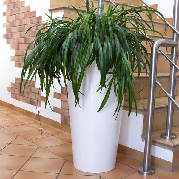 Prosperplast Blomkruka 64l Tubus Slim Collection 40x40x76.2 Cm Za4096 Durchsichtig
