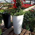 Miniatyrbild 10 av 10: Prosperplast Blomkruka 64l Tubus Slim Collection 40x40x76.2 Cm Za4096 Durchsichtig