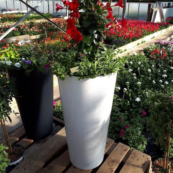 Prosperplast Blomkruka 64l Tubus Slim Collection 40x40x76.2 Cm Za4096 Durchsichtig
