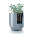 Miniatyrbild 6 av 8: Prosperplast Blomkruka 46l Heos Collection 39x39x44 Cm Silver
