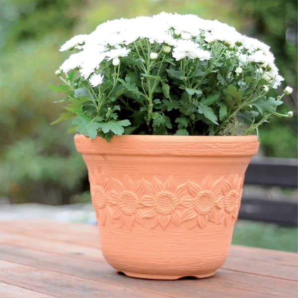 Prosperplast Blomsterkrukke 60l Sunny Collection 57x57x43.5 Cm Beige