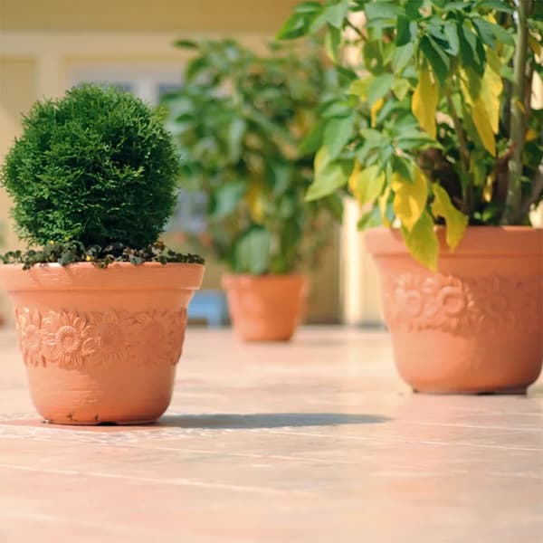 Prosperplast Blomsterkrukke 60l Sunny Collection 57x57x43.5 Cm Beige