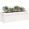 Miniatyrbilde 3 av 11: vidaXL Plantekasser 2 stk hvit heltre furu