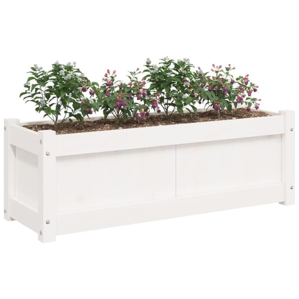 vidaXL Plantekasser 2 stk hvit heltre furu