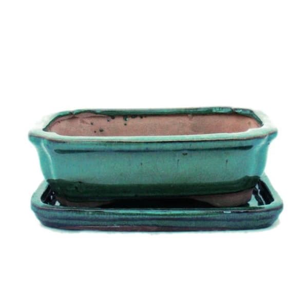 Bonsai skål med fat Gr. 2 - Grön - kantig - Modell G12 - L 15,5 cm - L 11,5 cm - H 4,5 cm