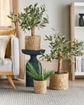 Miniatyrbilde 2 av 6: Sett med 3 plantekurver Naturlige vannhyacintpotter til innendørs bruk Stue Boho Rustikk stil