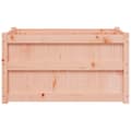 Miniatyrbilde 4 av 11: vidaXL Hageplantekasse 90x50x50 cm heltre douglasgran