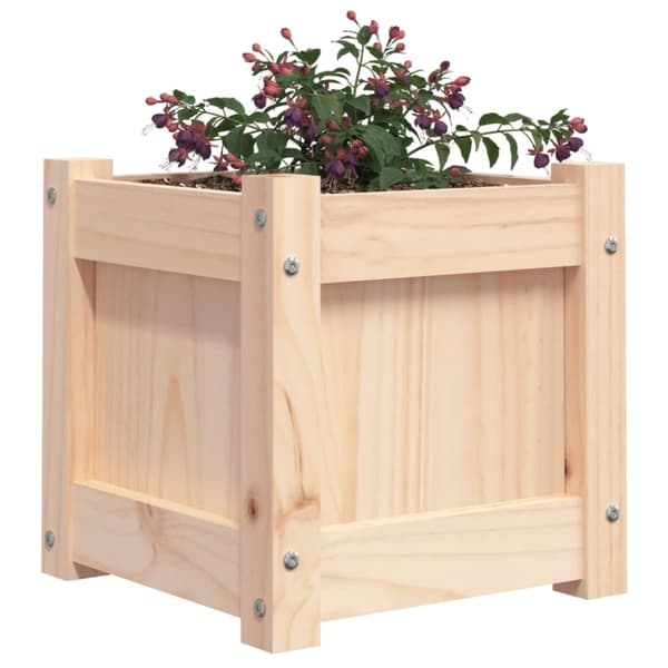 vidaXL plantekasse 31x31x31 cm massivt fyrretræ
