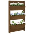 Miniatyrbillede 9 af 9: vidaXL plantevæg 60x18,5x110 cm 3 niveauer massivt fyrretræ gyldenbrun