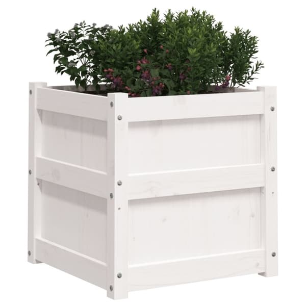 vidaXL plantekasse 50x50x50 cm massivt fyrretræ hvid