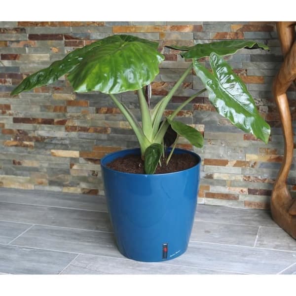 RIVIERA EVA NY rund blomlåda - Plast - Diameter 31 cm - Blå