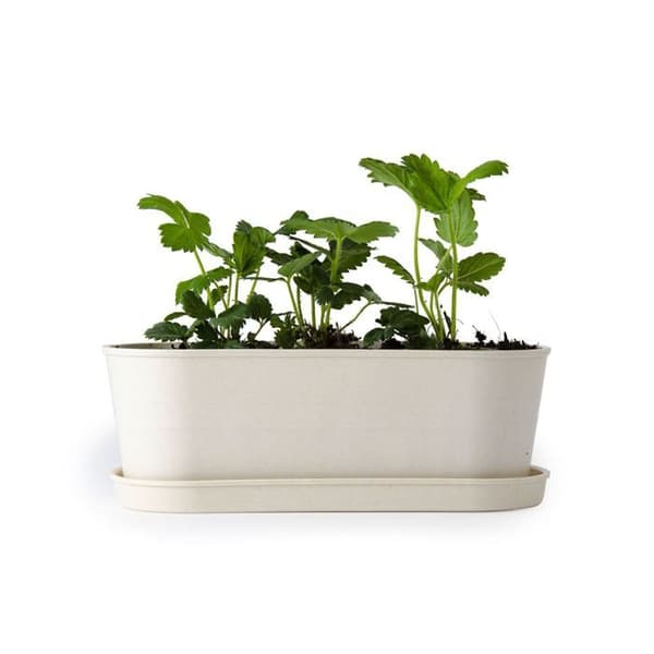 Rädisa och Nasturtium - Jordgubbsbambuplanterare