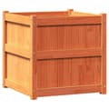 Miniatyrbilde 1 av 11: vidaXL Plantekasser 2 stk brun heltre furu