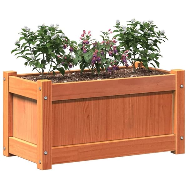vidaXL plantekasse 60x31x31 cm massivt fyrretræ gyldenbrun