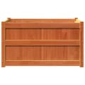Miniatyrbilde 5 av 11: vidaXL Plantekasser 2 stk brun heltre furu