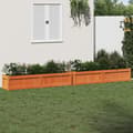 Miniatyrbillede 11 af 11: vidaXL plantekasser 2 stk. massivt fyrretræ gyldenbrun