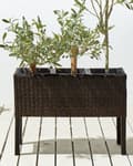 Miniatyrbillede 4 af 11: Urtepotte brun polyrotink rektangulær til indendørs og udendørs 3 planter med plastforing