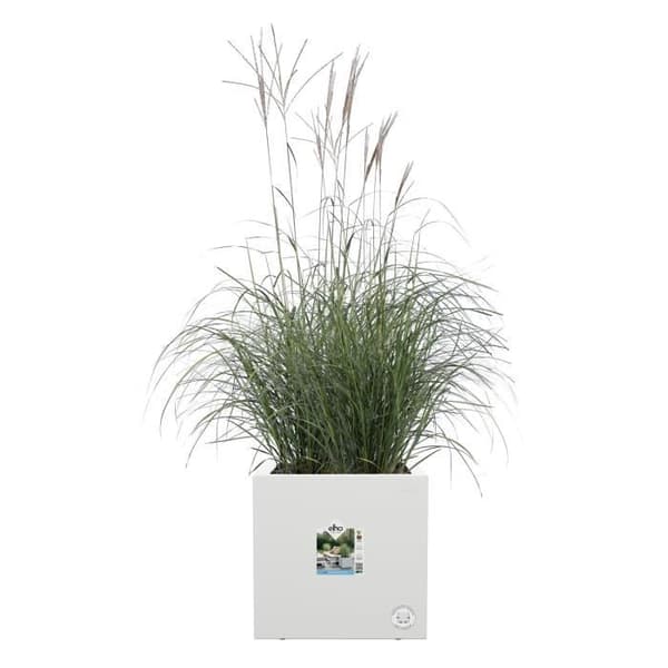 Elho Vivo Next Square 30 Blomlåda - Vit - Ø 30 x H 29 cm - inomhus/utomhus - 100% återvunnet