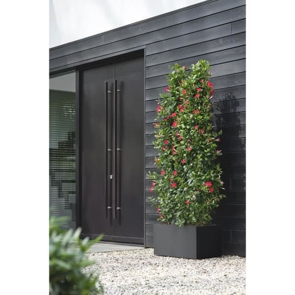 Elho Vivo Next Long 80 Blomlåda - Svart - L 78 x B 39 x H 38 cm - inomhus/utomhus - 100% återvunnet