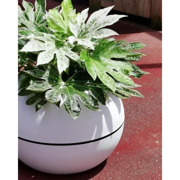 RIVIERA GRANIT BOULE rund blomlåda - Plast - Diameter 50 cm - Vit