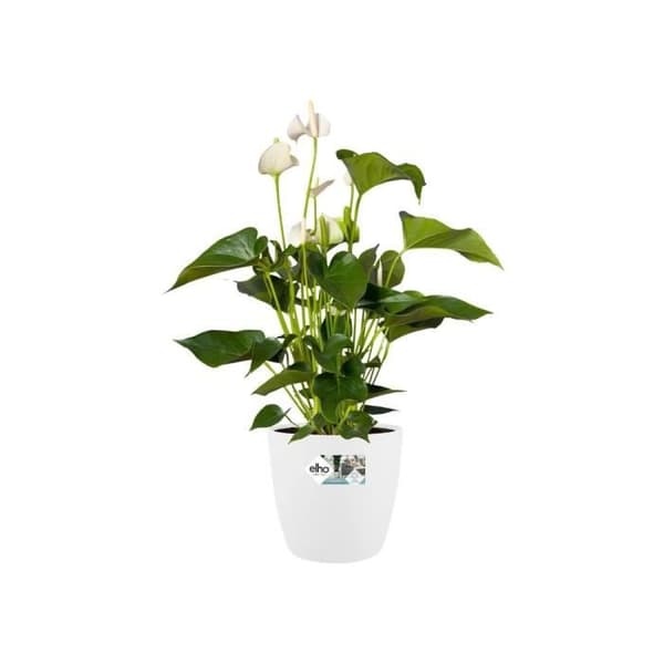 ELHO Brussels Wheels 47 rund blomkruka - Vit - Ø 47 x H 44 cm - inredning - 100% återvunnen