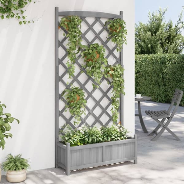 vidaXL Plantekasse med espalier grå heltre gran