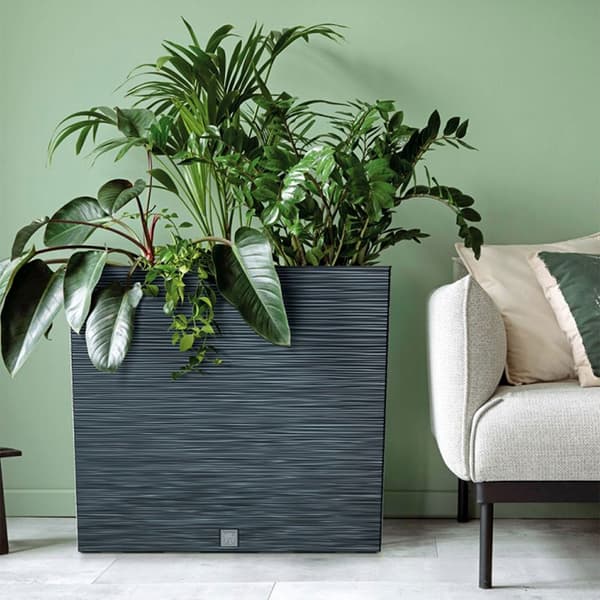 Prosperplast Blomsterkrukke 12l Furu Collection 58x18x49.8 Cm Grå