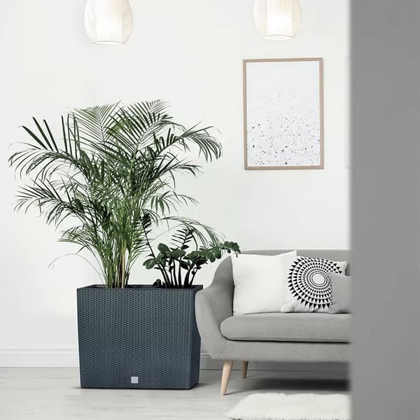 Prosperplast Blomsterkrukke 16l Rato Case Collection 58x18x49.8 Cm Grå