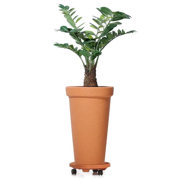 Prosperplast Blomsterkrukke 42l Classic Collection 40x40x63 Cm Brun