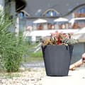 Miniatyrbillede 4 af 5: Prosperplast Blomsterkrukke 54l Woode Collection 488x488x457 Mm