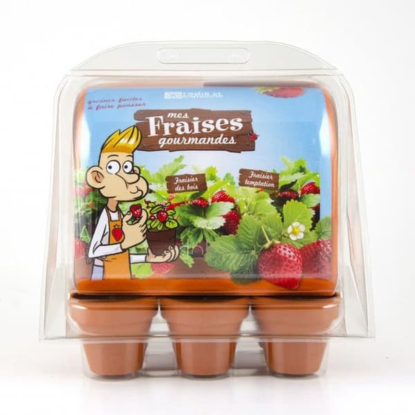 Miniväxthus med 6 jordgubbskrukor