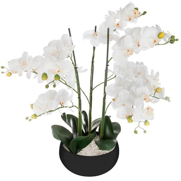 Atmosphera Blomsterkrukke Orchid Jj1682