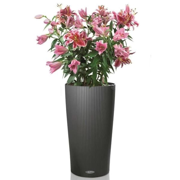 LECHUZA Planteringsmaskin Cilindro Färg 32 ALLT-I-ETT skiffer 13953