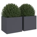Miniatyrbilde 5 av 11: vidaXL Plantekasser 2 stk antrasitt 32x30x29 cm stål