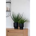 Miniatyrbillede 6 af 6: Fulda planteskjuler sæt med 2 sort.
