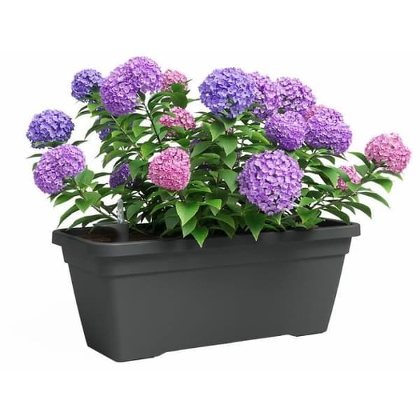 Planteringskärl - Plast - Antracit - Rektangulär - L57,9 x D24,3 x H22cm - ARTEVASI