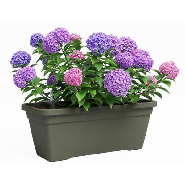 Planteringskärl - Plast - Torrgrön - Rektangulär - L77,9 x D24 x H22cm - ARTEVASI