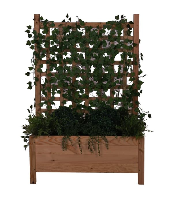 Puinen ruukku pergolalla RD-DNC /120x80x40cm/ Ruskea