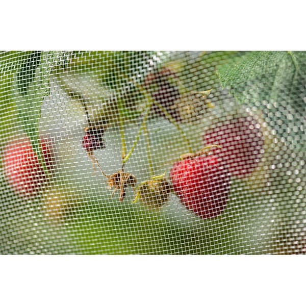 Stocker Körsbärsvinäger Flugnät Cherry Vinegar Fly 4x5 M