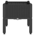 Miniatyrbillede 4 af 8: vidaXL plantekasse med ben 40x40x42 cm PP sort