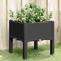 Miniatyrbillede 8 af 8: vidaXL plantekasse med ben 40x40x42 cm PP sort