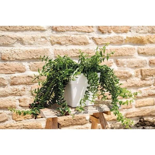 Blomkruka - DEROMA - Quadro Save R - 31L - 35cm - Vit