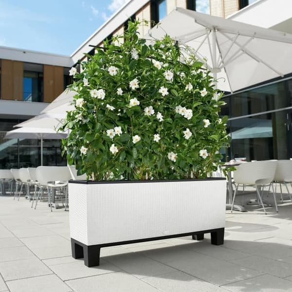 Jardiniere Trio Cottage 30 - LEC - komplett kit - vit - väderbeständig