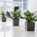 Miniatyrbillede 4 af 5: Blomkruka - LEC - Cube Premium 50 - blank vit - väder- och UV-beständig