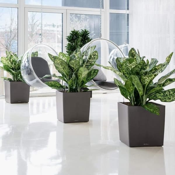 Blomkruka - LEC - Cube Premium 50 - blank vit - väder- och UV-beständig
