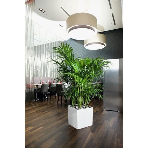 Planteringskärl - Cube premium 40 - Komplett kit - Blank vit - 31 L - LECHUZA
