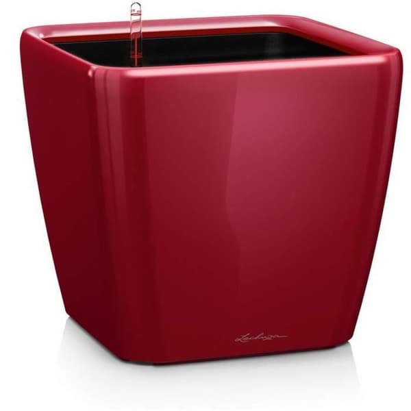 LECHUZA Quadro Premium LS 50 blomkruka - komplett set, glänsande scharlakansröd