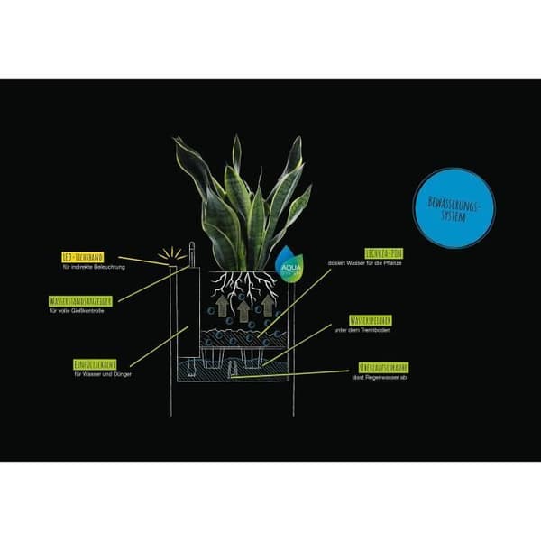 LECHUZA Canto Stone Column 40 blomkruka - komplett LED-kit, grafitsvart